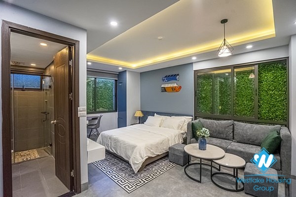 Stunning studio for rent in Hoan Kiem